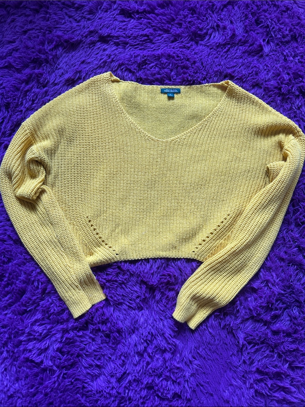 wild fable Yellow V-Neck Cropped Knit Sweater